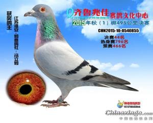 齐鲁兆佳秋一棚决赛44名