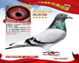 父