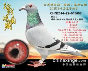 母亲