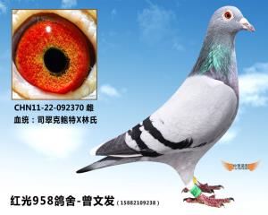 母亲