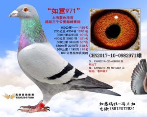 如意971(己售)