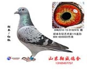 胡本476