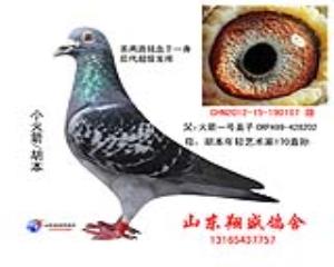 胡本107