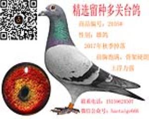 精选多关2105#