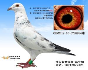 CHN2019-10-0788954