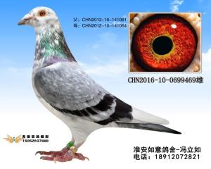 CHN2016-10-0699469
