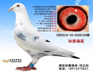 CHN2018-32-0528120