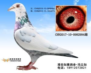 CHN2017-10-0982994