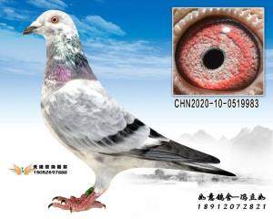 CHN2020-10-0519983