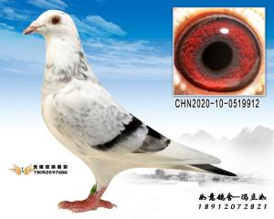CHN2020-10-0519912