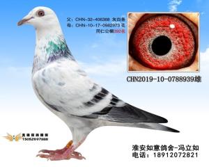 CHN2019-10-0788939