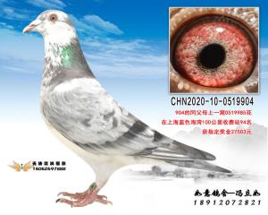 CHN2020-10-0519904