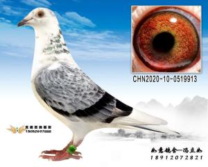 CHN2020-10-0519913