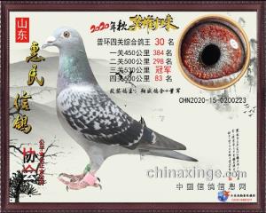2020秋普特总冠军