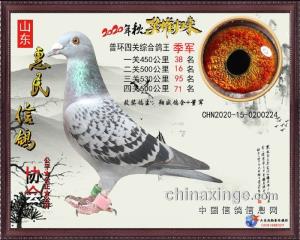 2020秋四关鸽王季军