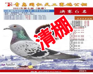 CHN2021-10-0343519