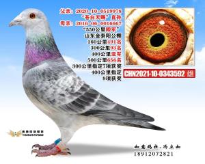 CHN2021-10-0343592 雄
