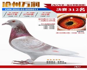 2022赛绩鸽
