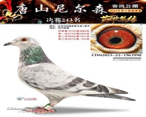 唐山尼尔森春棚决赛243名