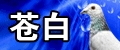 淮安如意鸽社